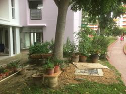 Tampines Street 21 (D18), Retail #147905712